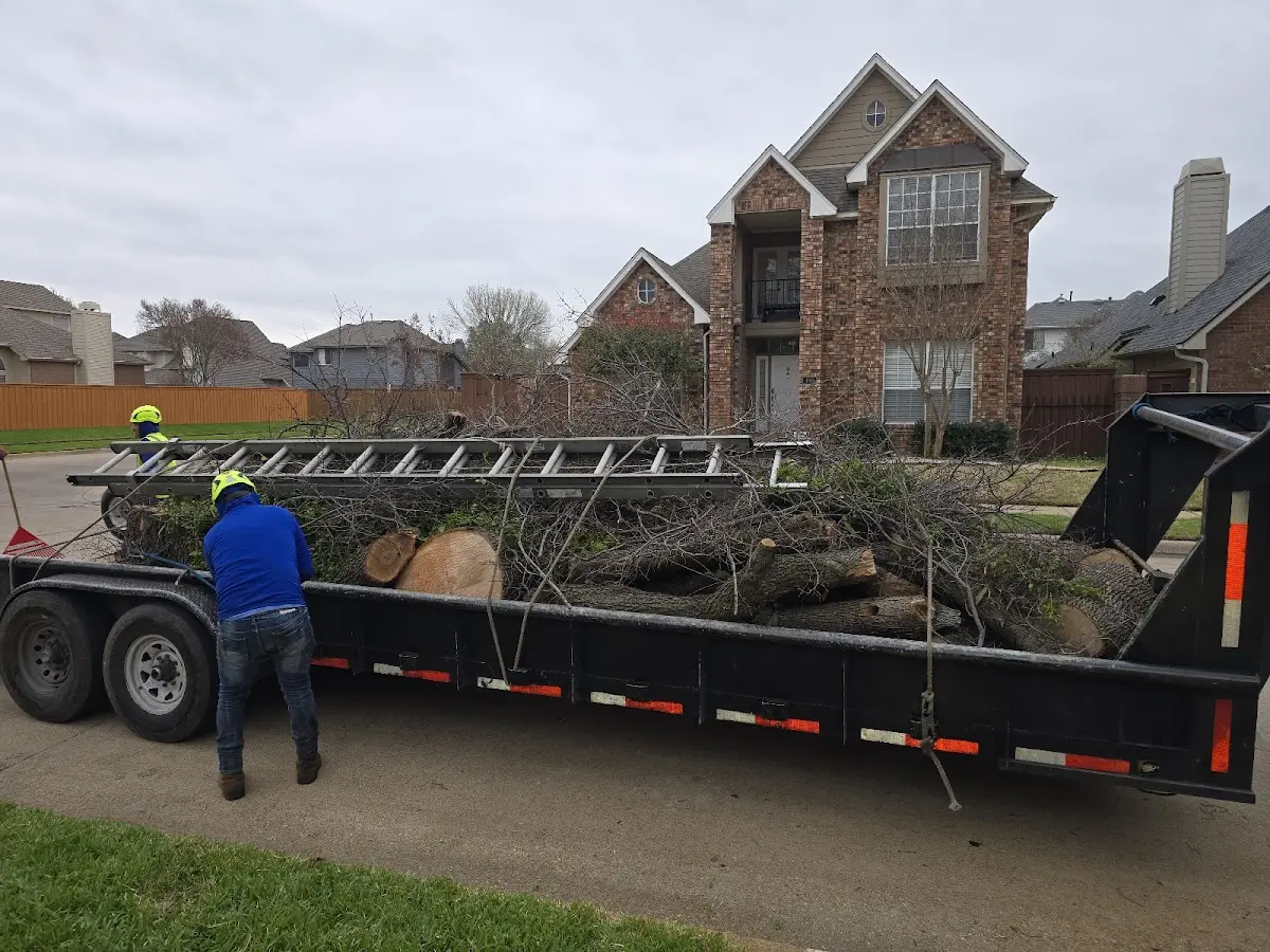 Expert Crown Reduction with proper safety equipment in White Oak